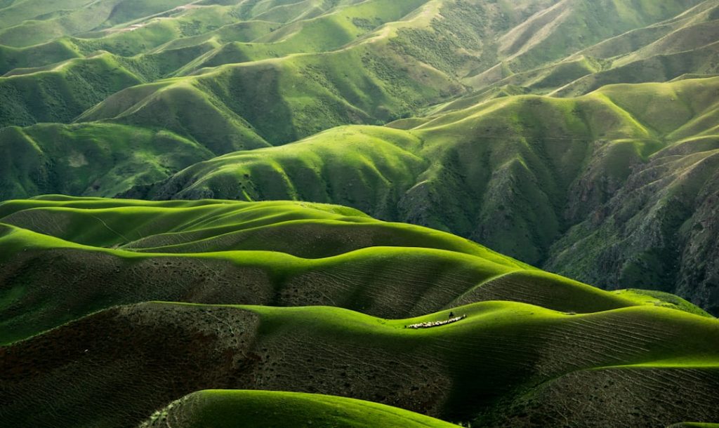 FAQ Body Grassland in Yili,Xinjiang,China